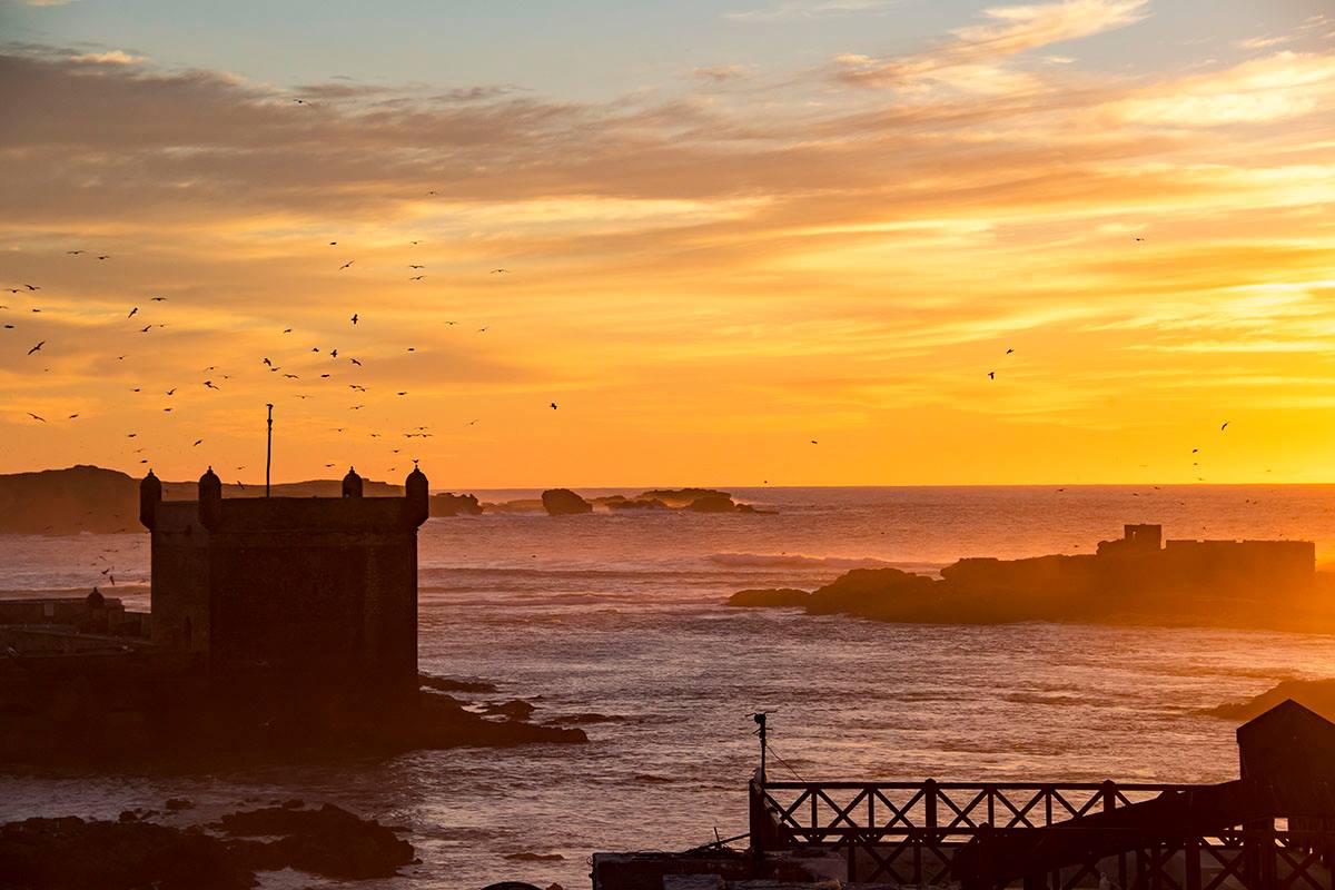 12633731_1265139080167871_6753661262373668999_o