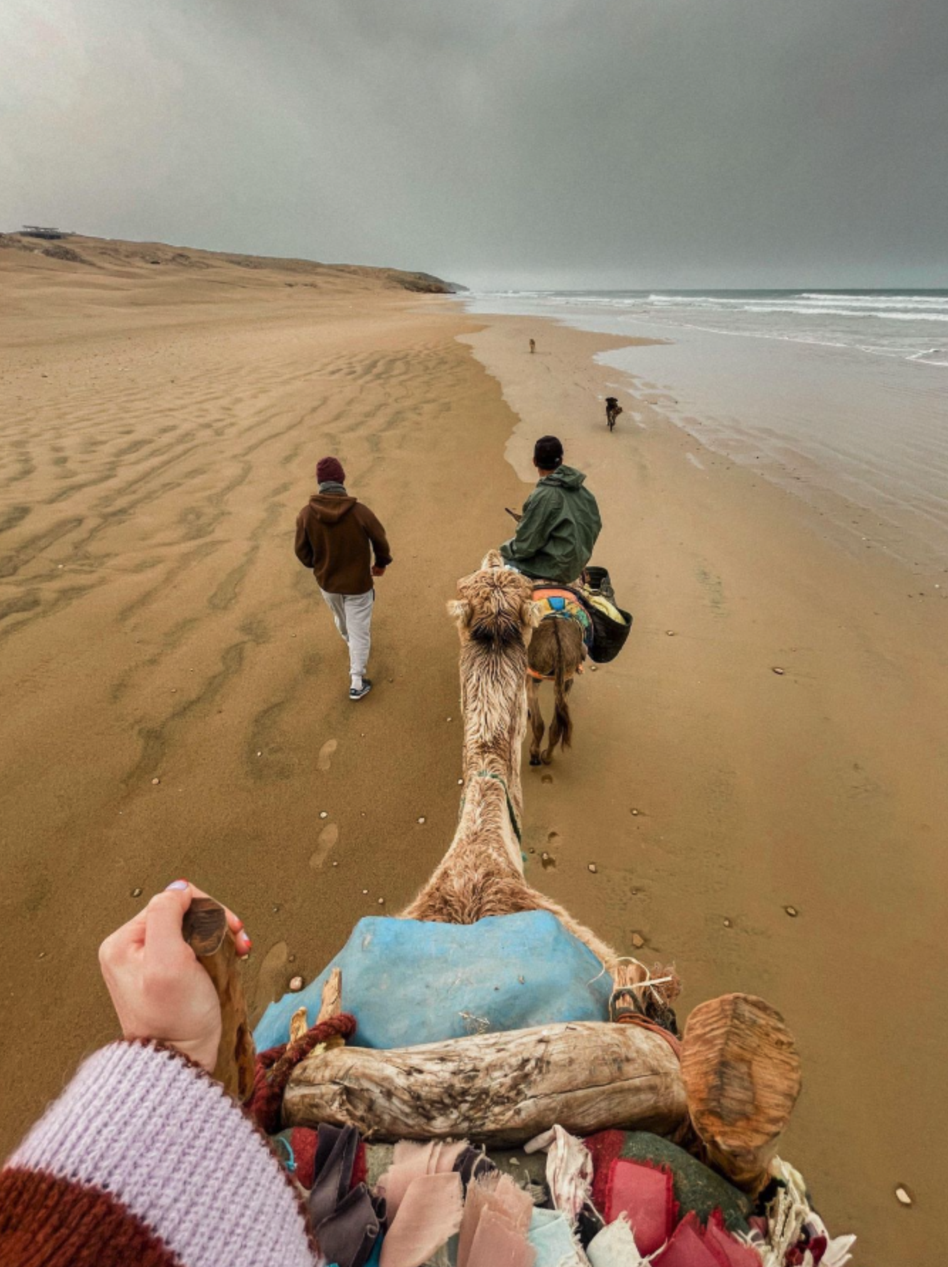 Screenshot 2025-09-30 at 11.54.46