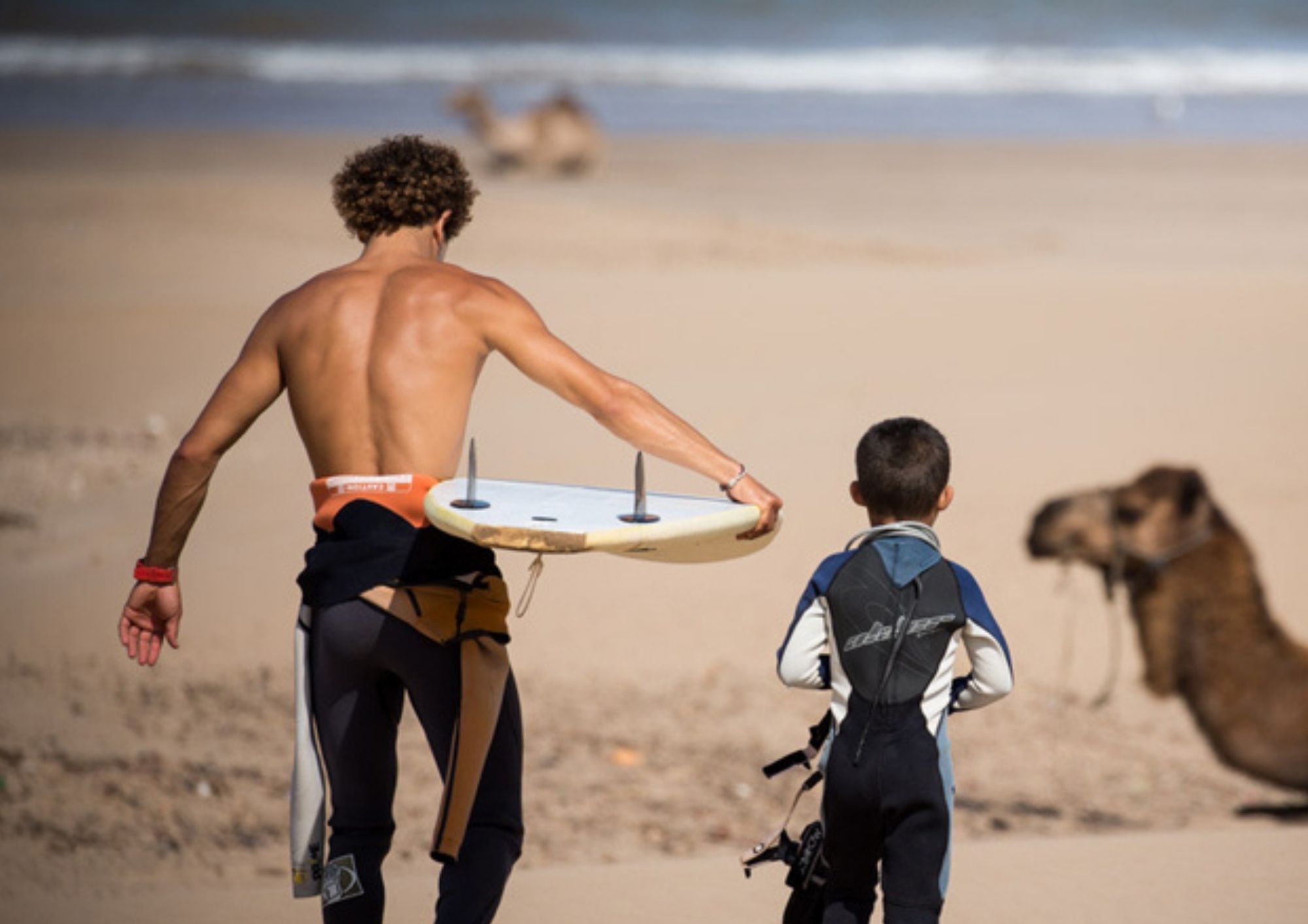 Surfing — group and private options · current price confirmed on enquiry · local instruction for beginners through experienced surfers · subject to conditions and availability